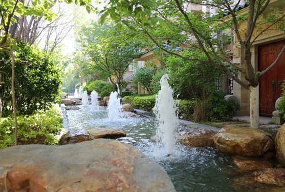 俄罗斯专享会294集团