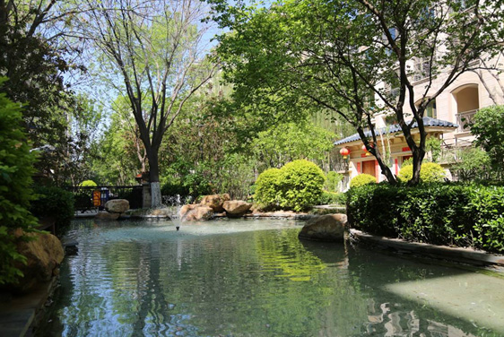 俄罗斯专享会294集团